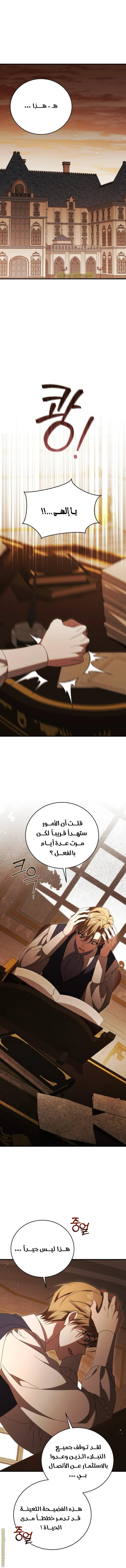 الصفحة 17