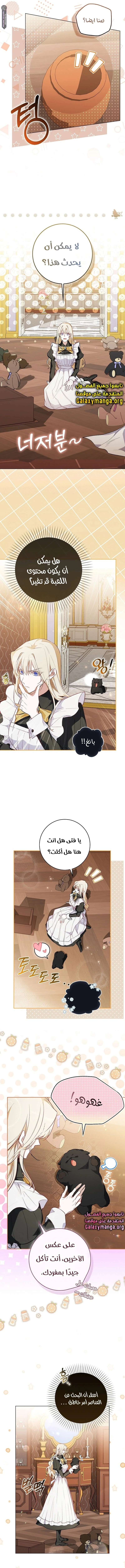 الصفحة 8