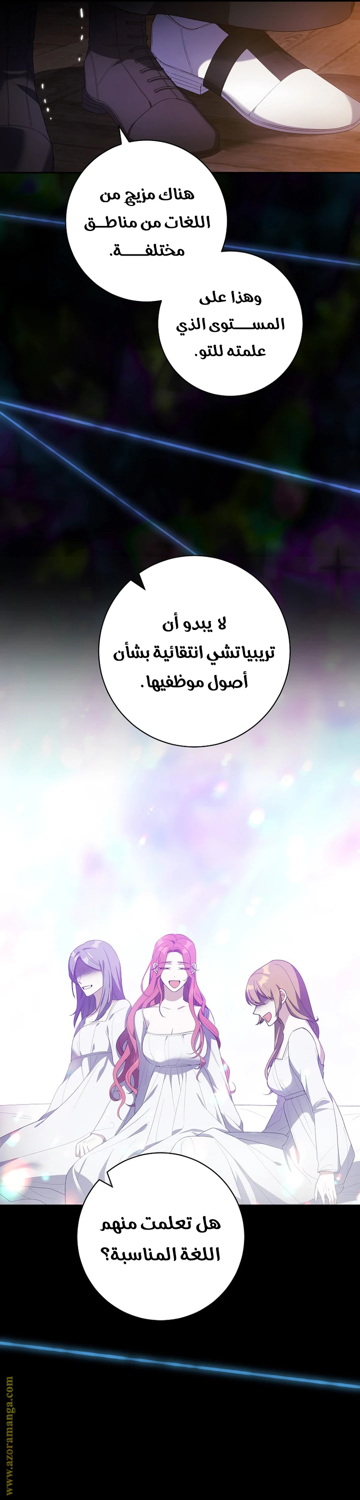 الصفحة 13