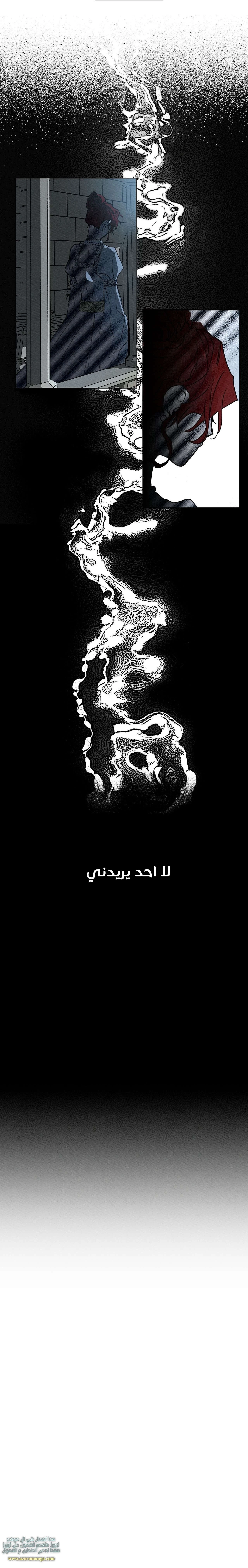 الصفحة 20