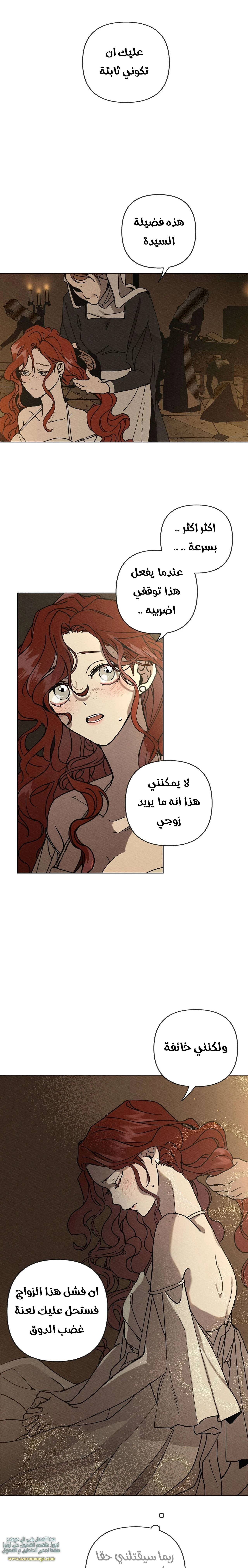 الصفحة 21