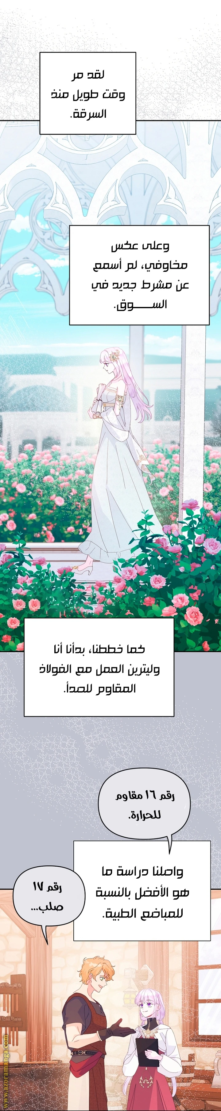 الصفحة 13