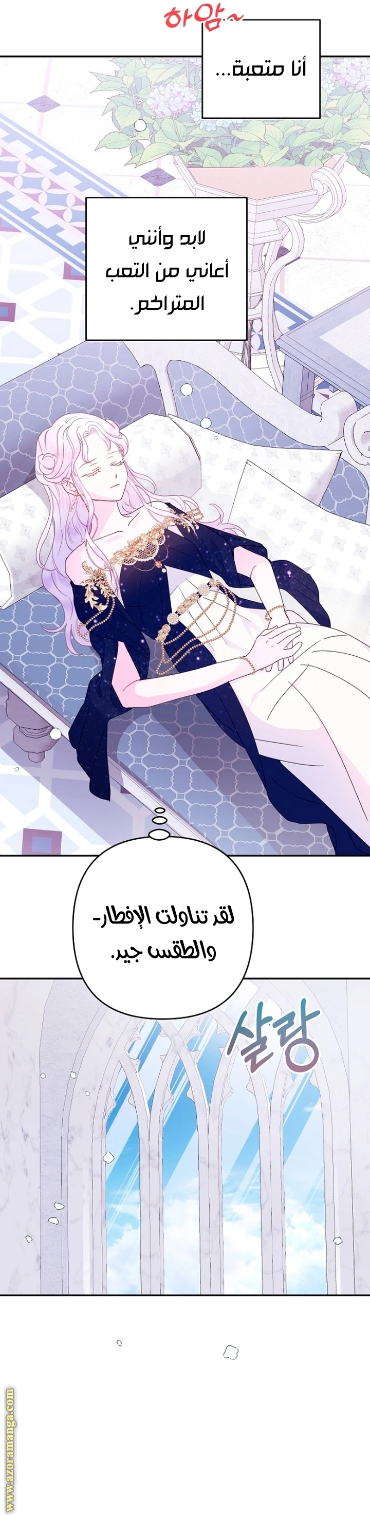 الصفحة 24
