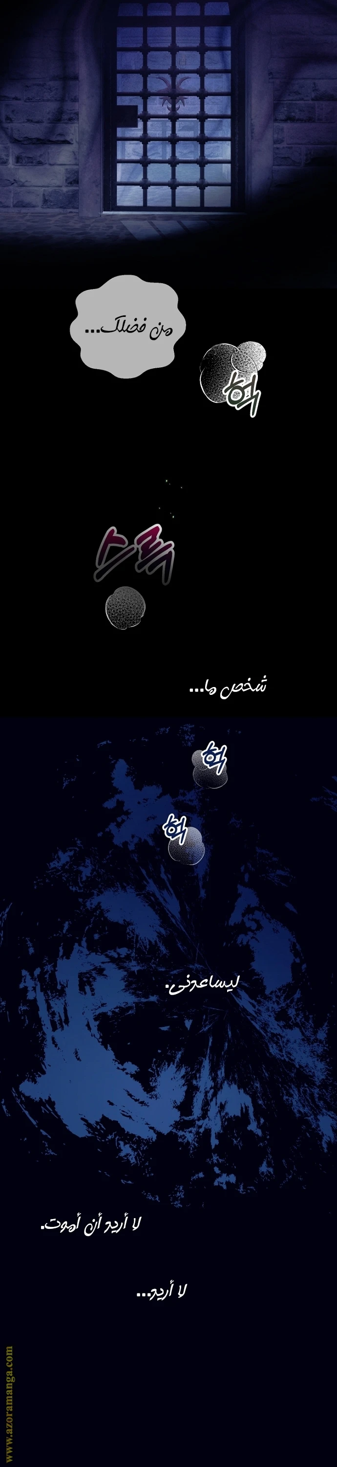 الصفحة 13
