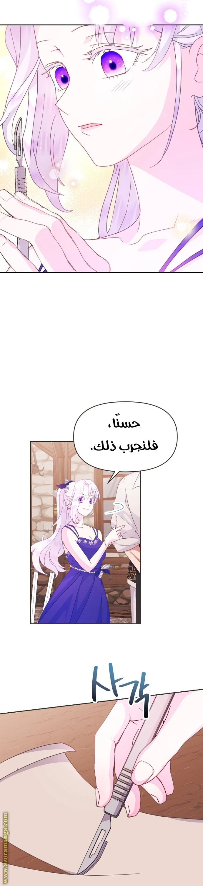 الصفحة 21