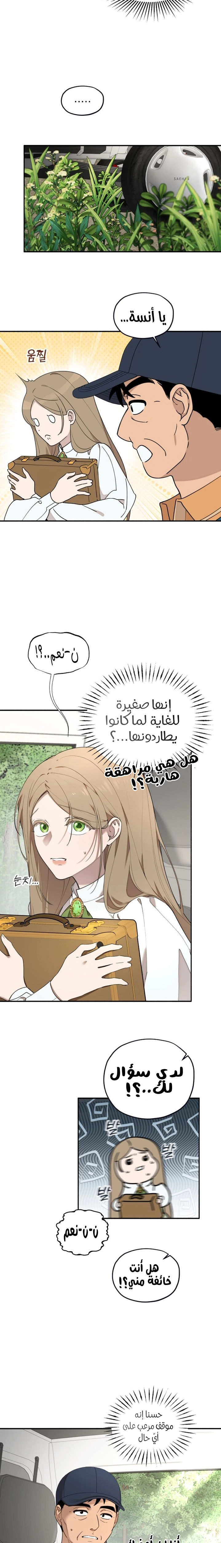 الصفحة 14