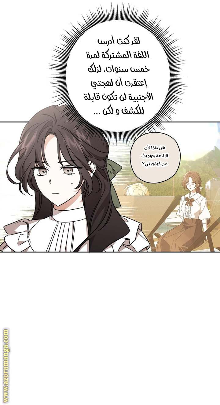 الصفحة 29