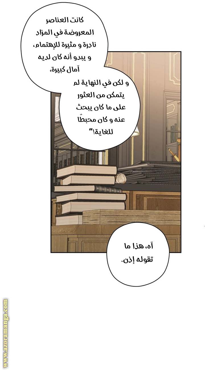 الصفحة 46