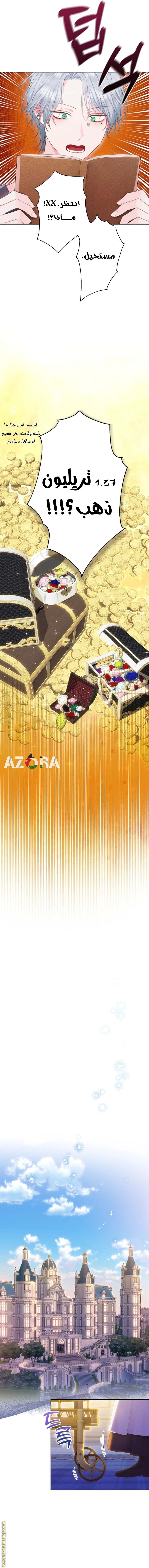 الصفحة 13