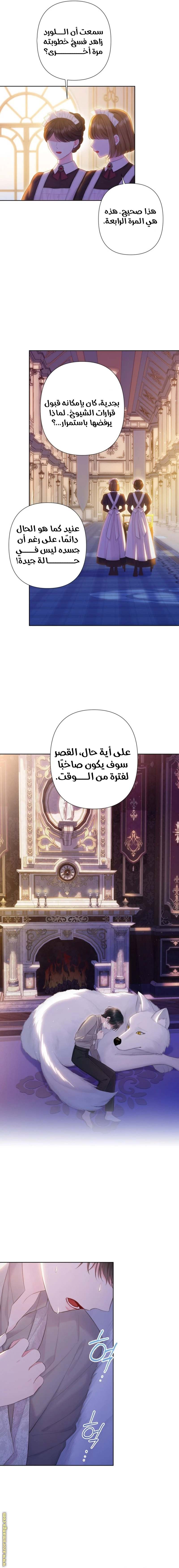 الصفحة 14