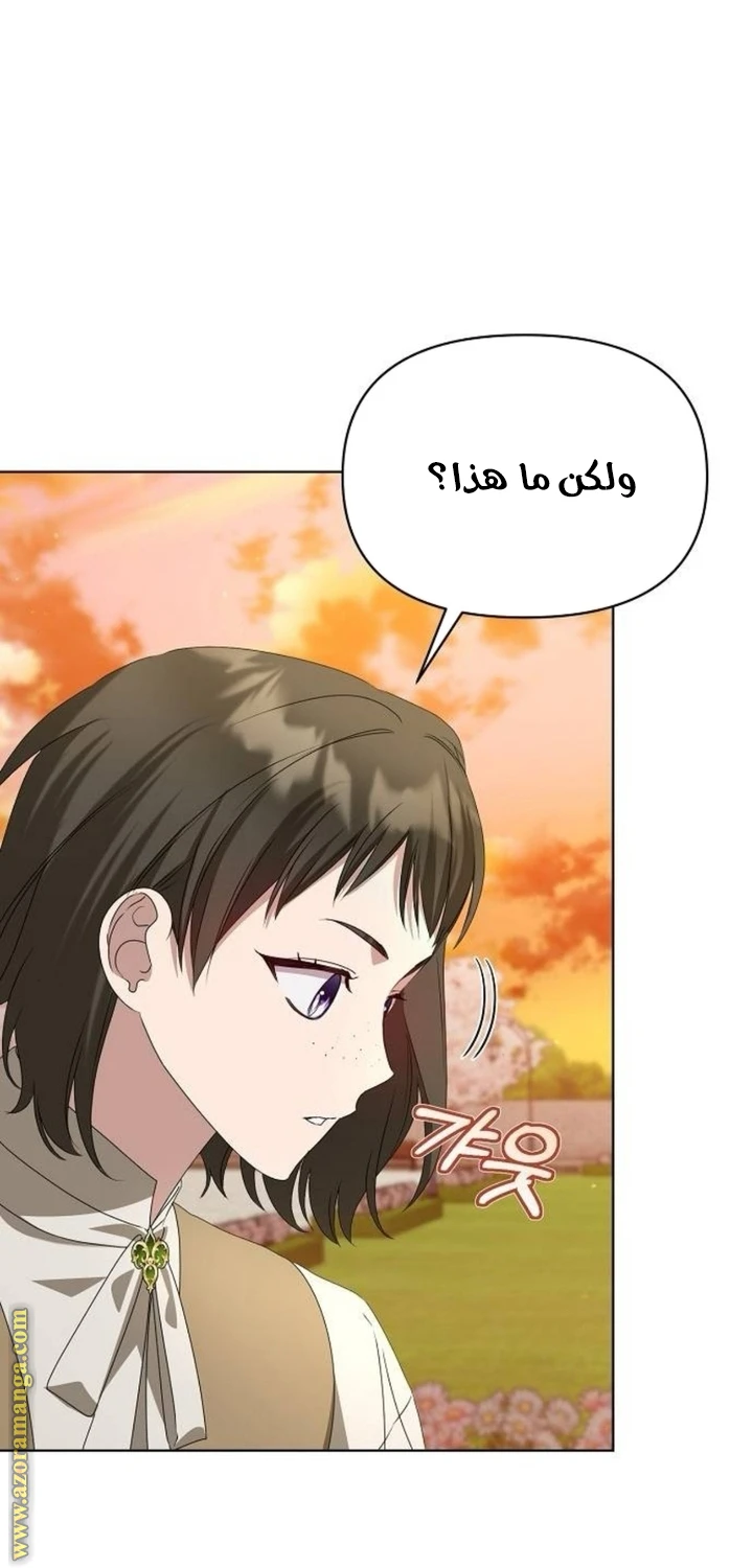 الصفحة 26