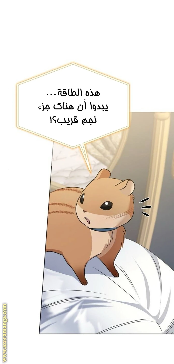 الصفحة 46