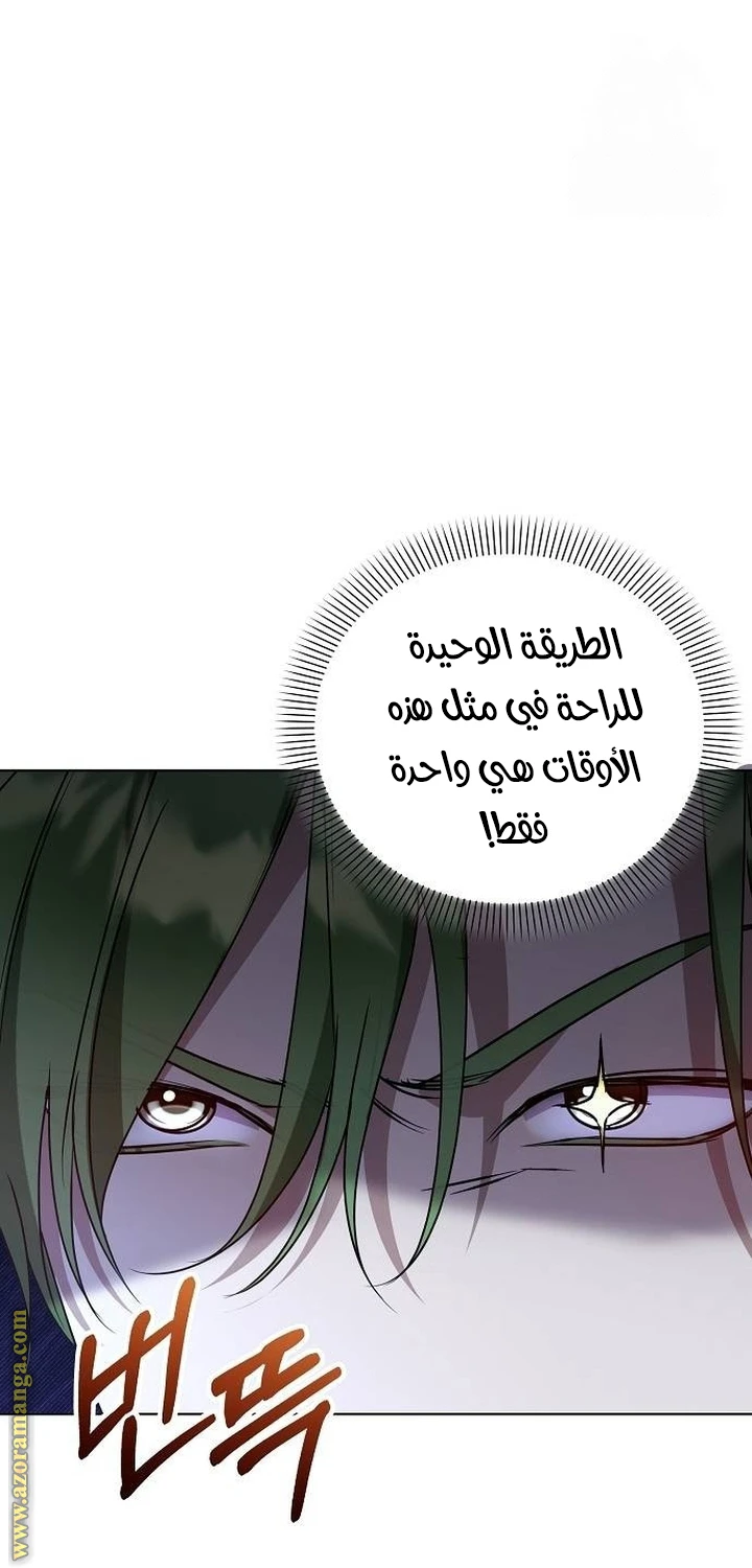 الصفحة 41