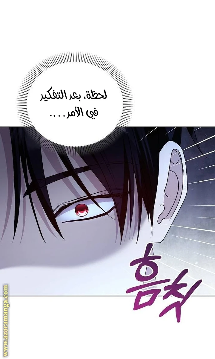 الصفحة 48