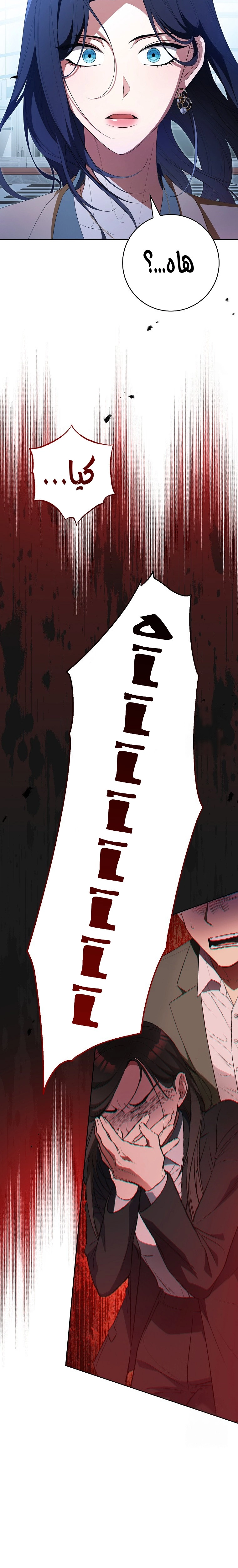 الصفحة 16