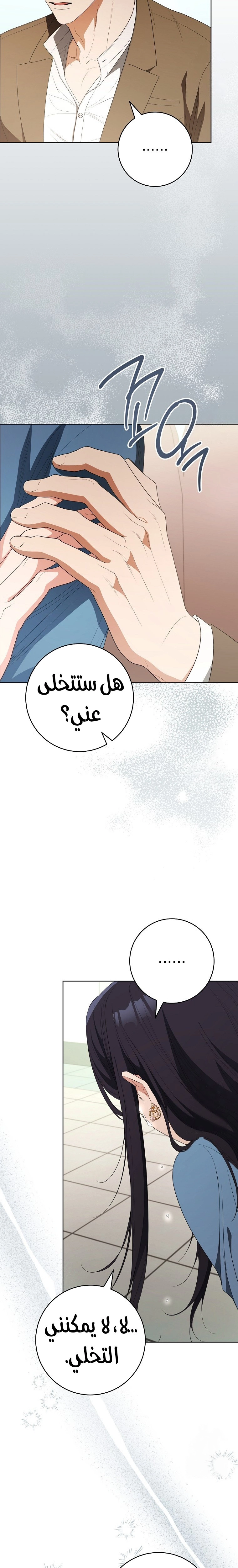 الصفحة 25