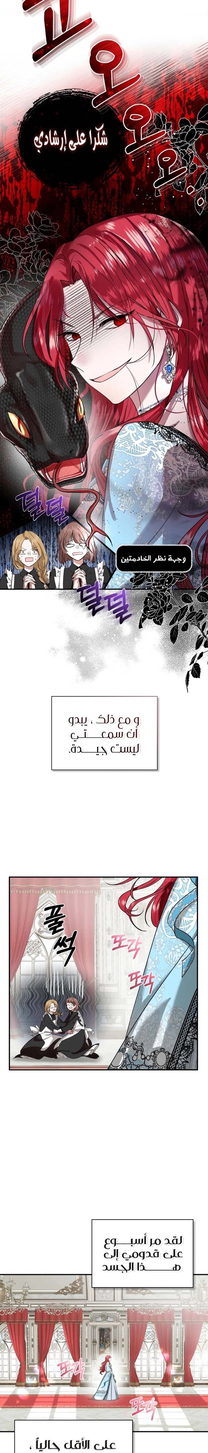 الصفحة 13