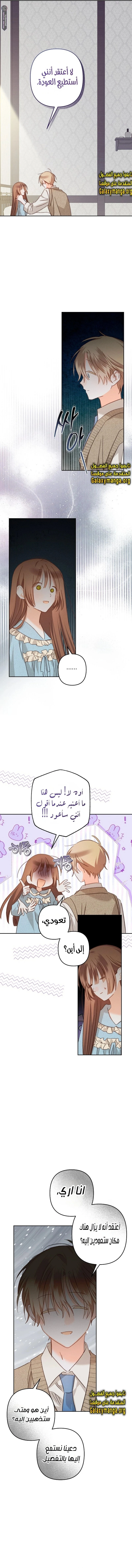 الصفحة 13