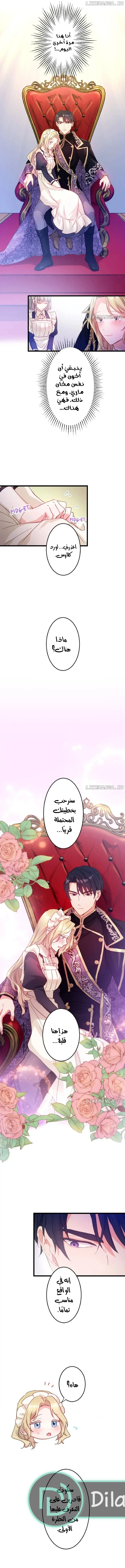 الصفحة 3