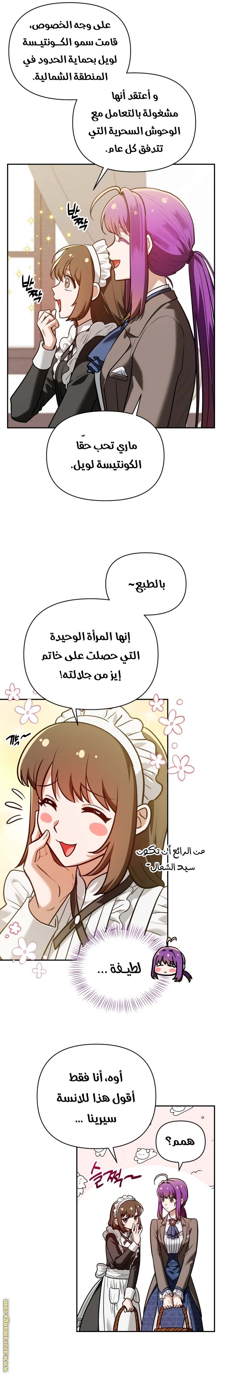 الصفحة 13