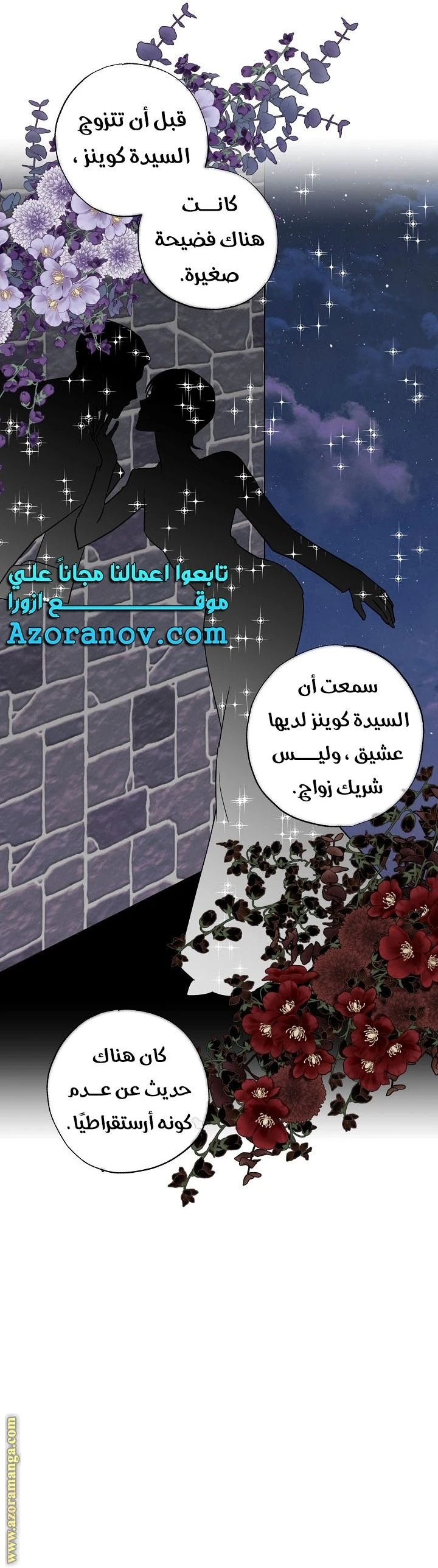 الصفحة 24