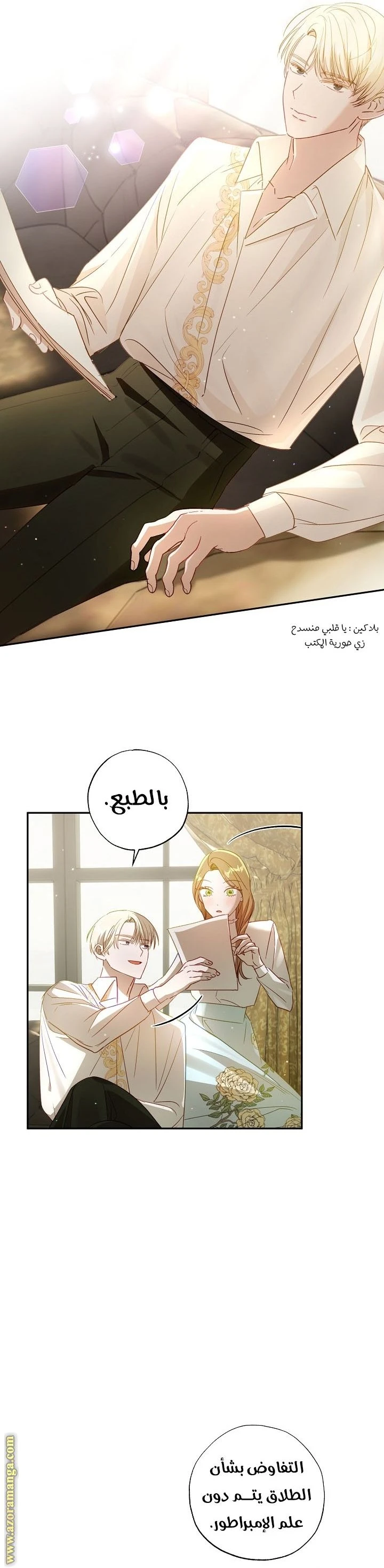 الصفحة 28