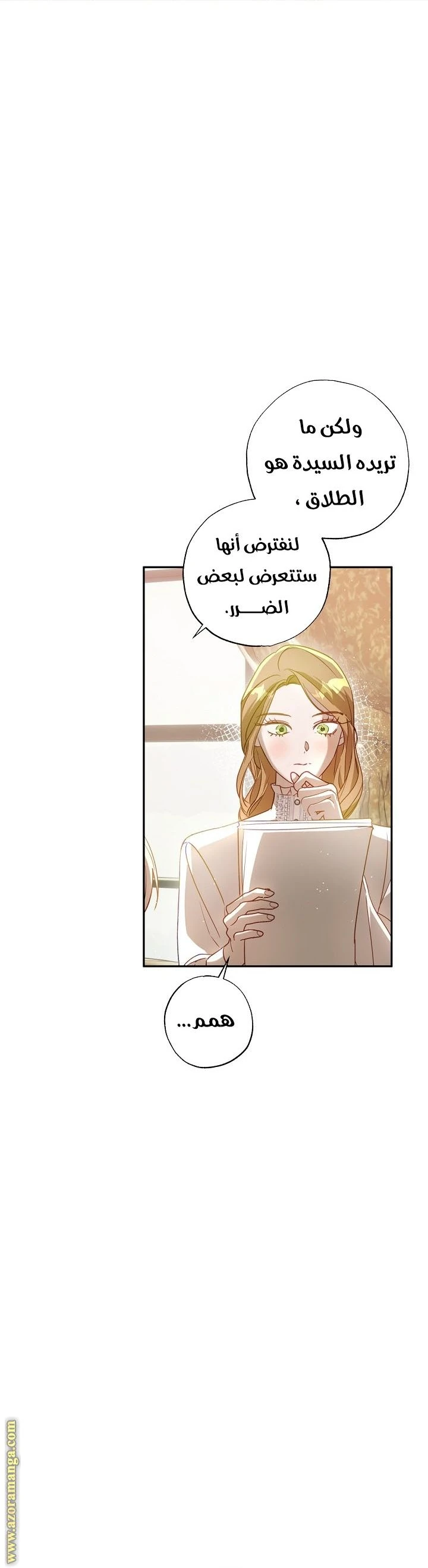 الصفحة 30