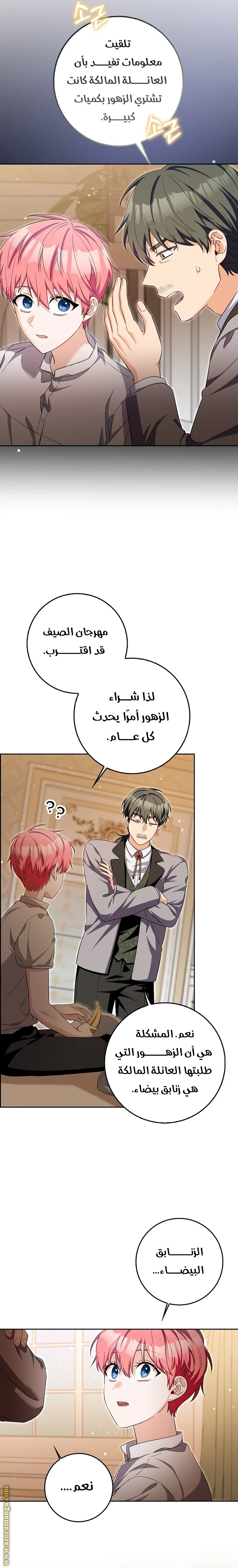 الصفحة 17