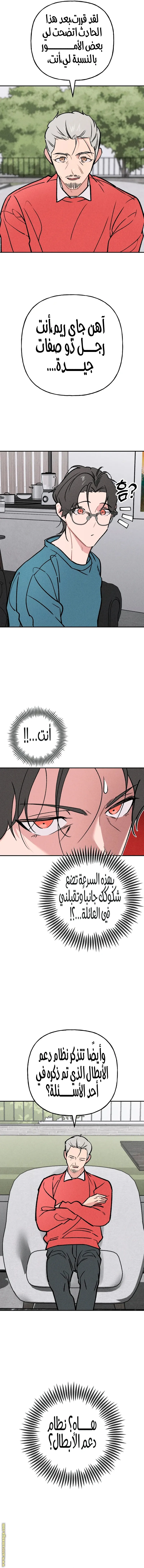 الصفحة 13