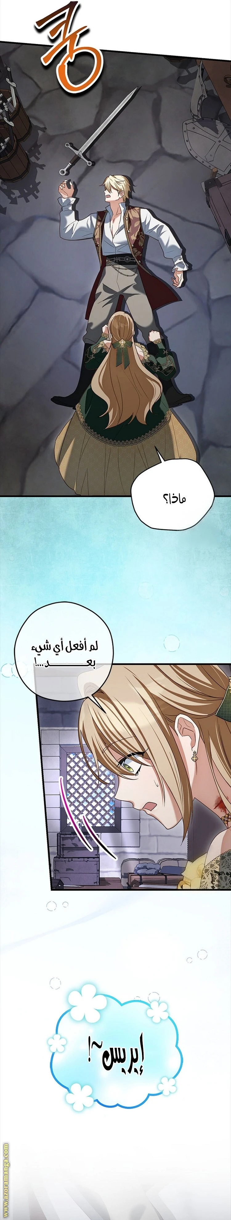 الصفحة 26
