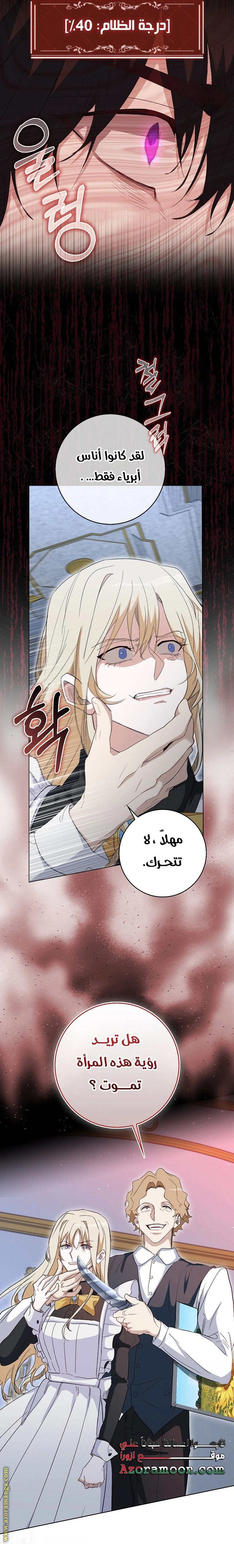 الصفحة 17