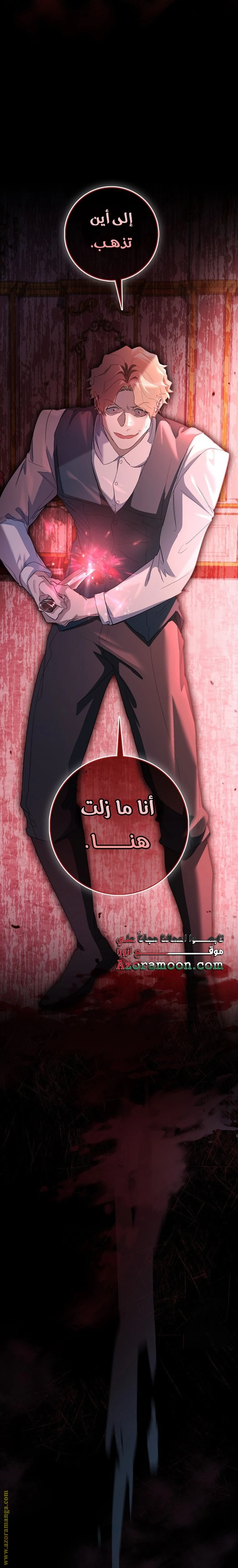 الصفحة 29