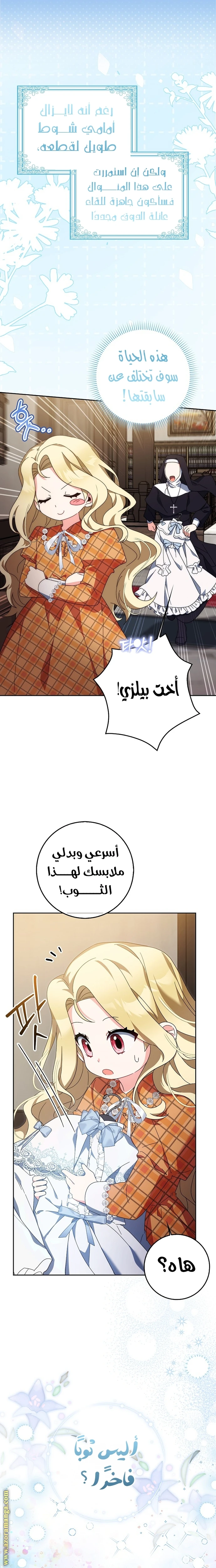 الصفحة 20