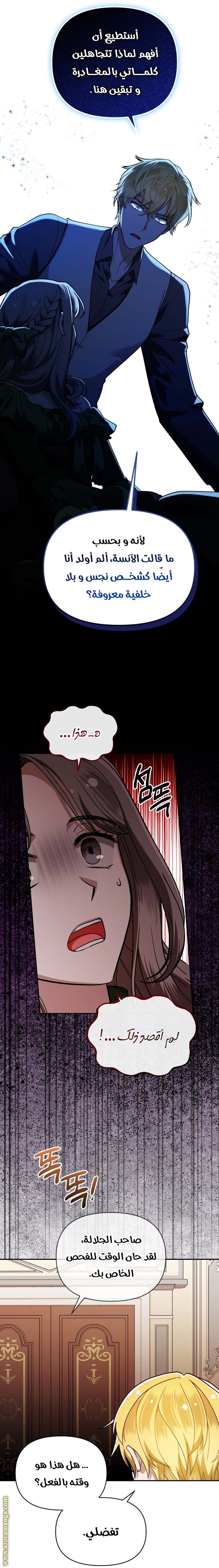 الصفحة 13