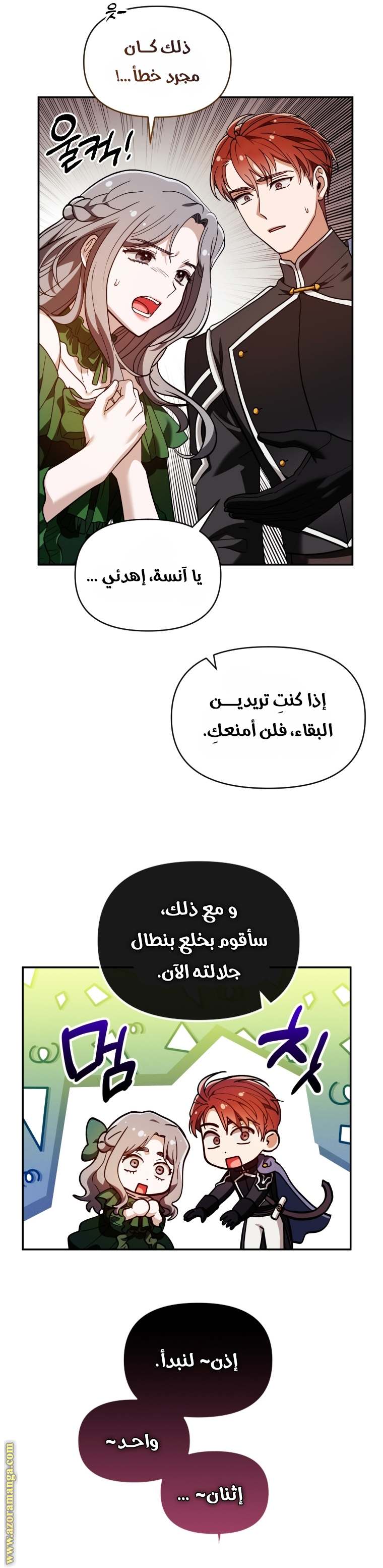 الصفحة 17