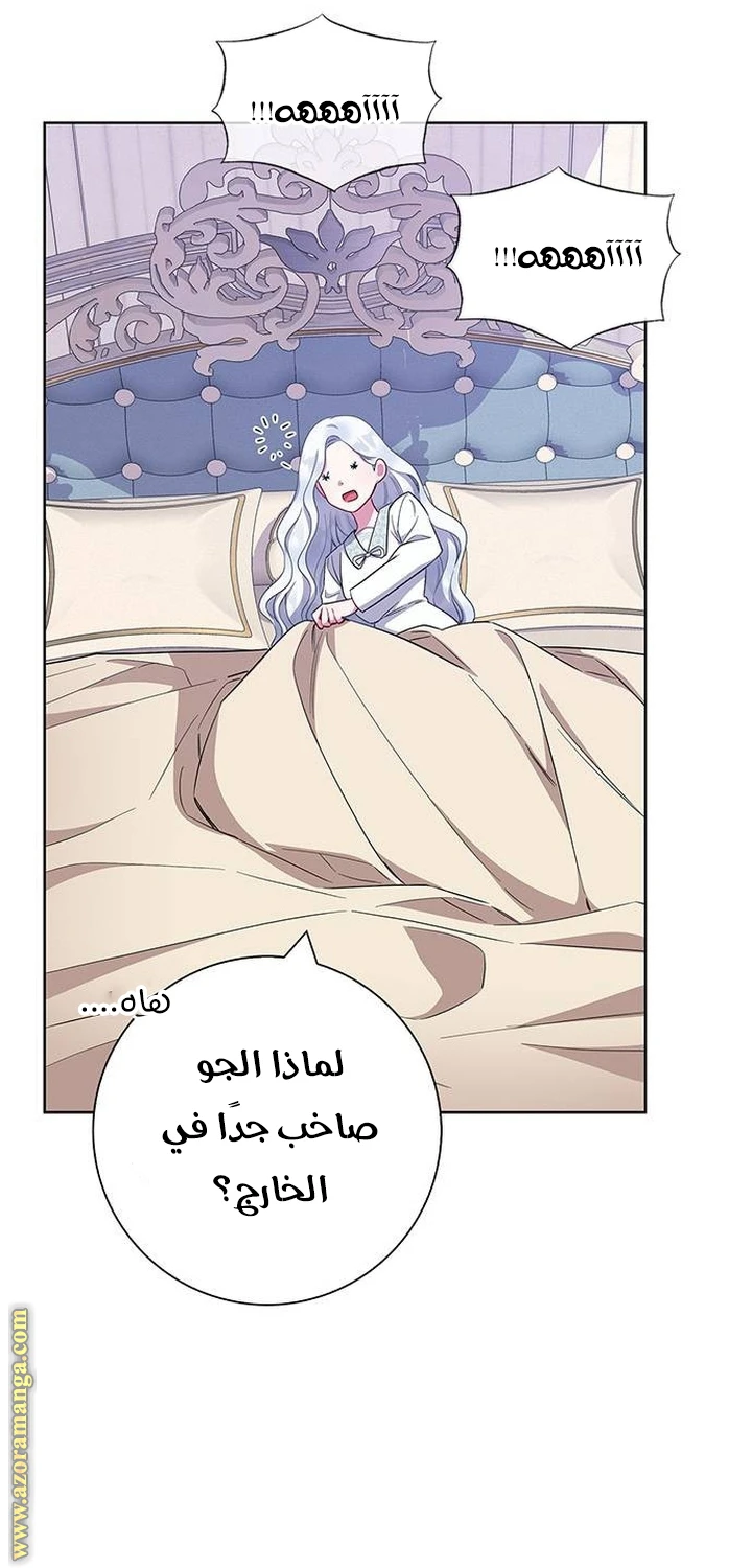 الصفحة 23