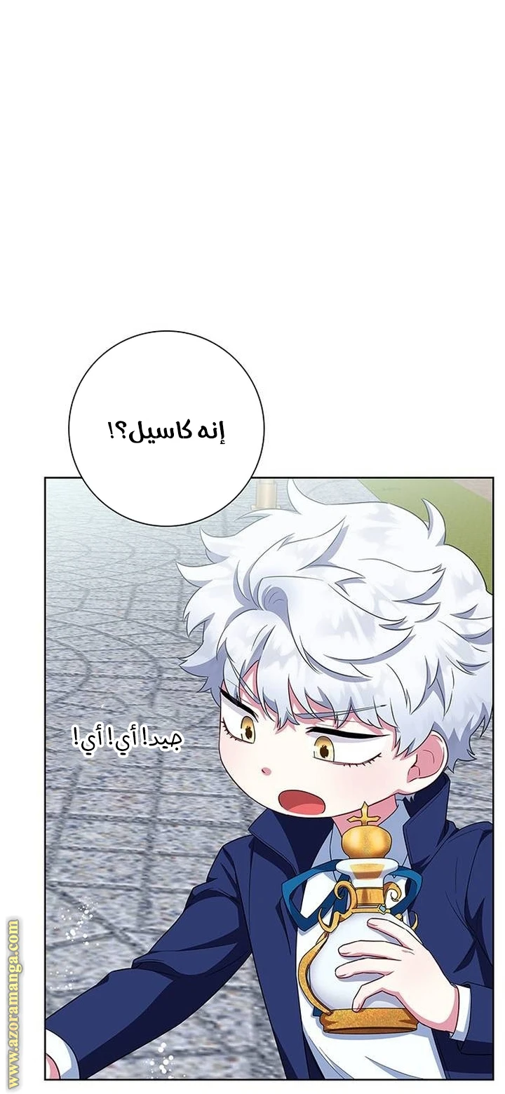 الصفحة 25