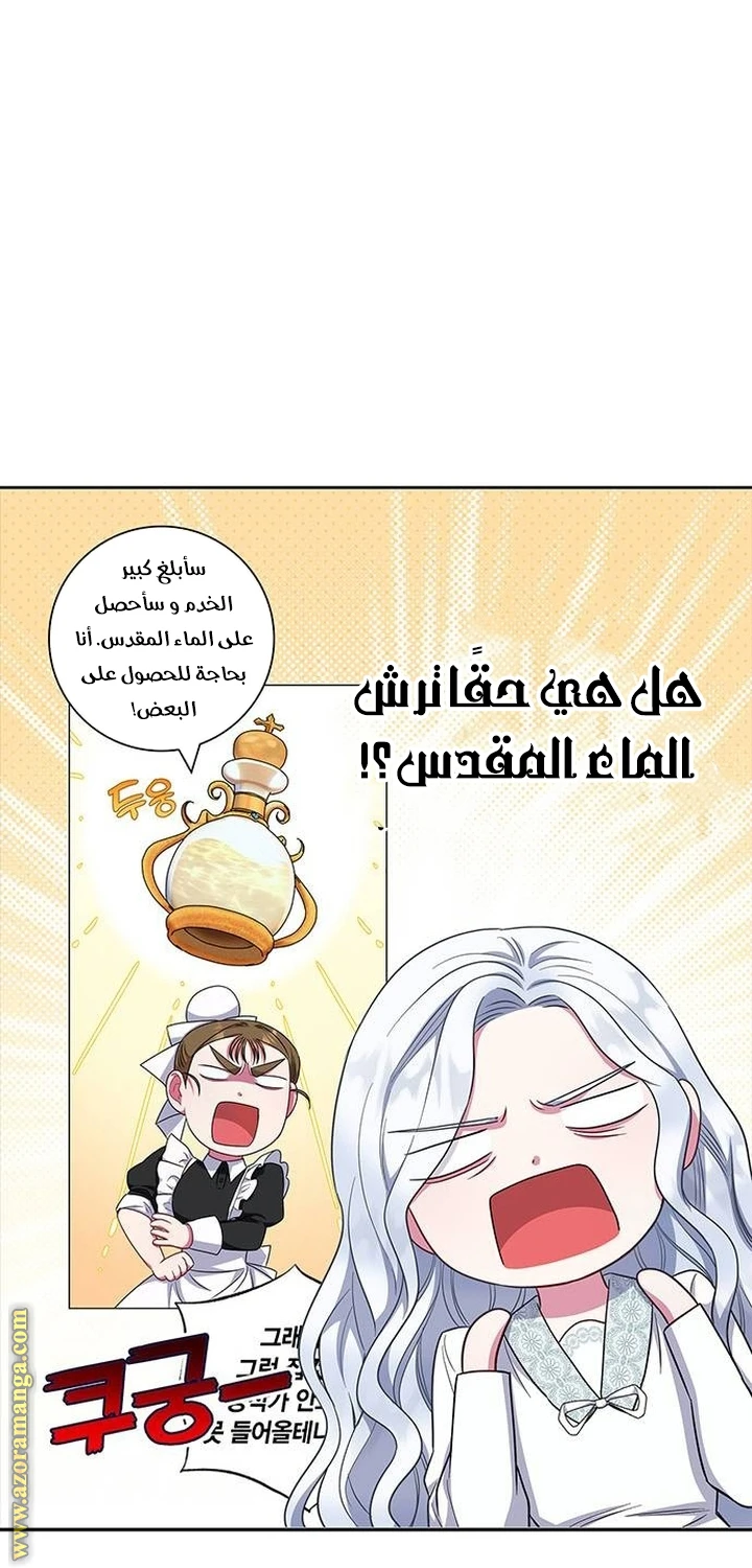 الصفحة 26