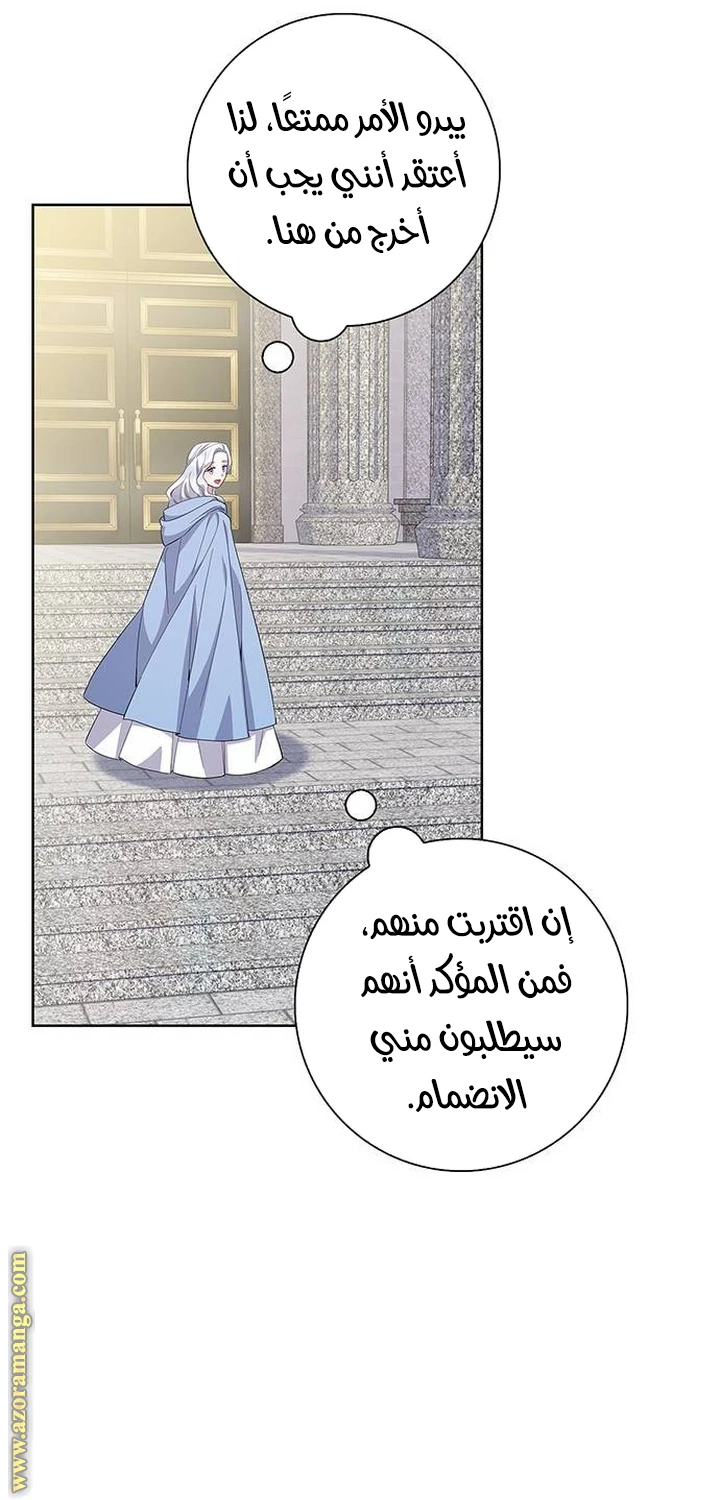 الصفحة 42