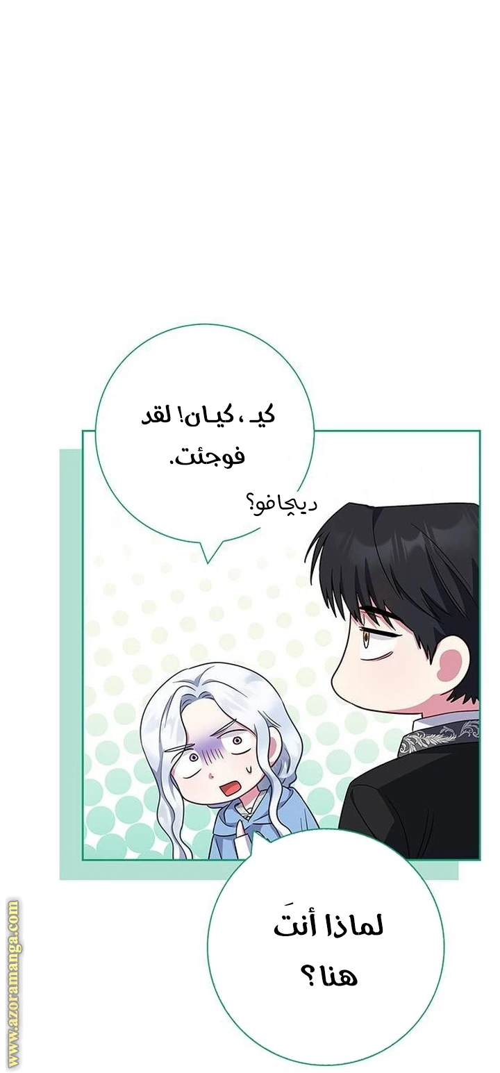 الصفحة 47