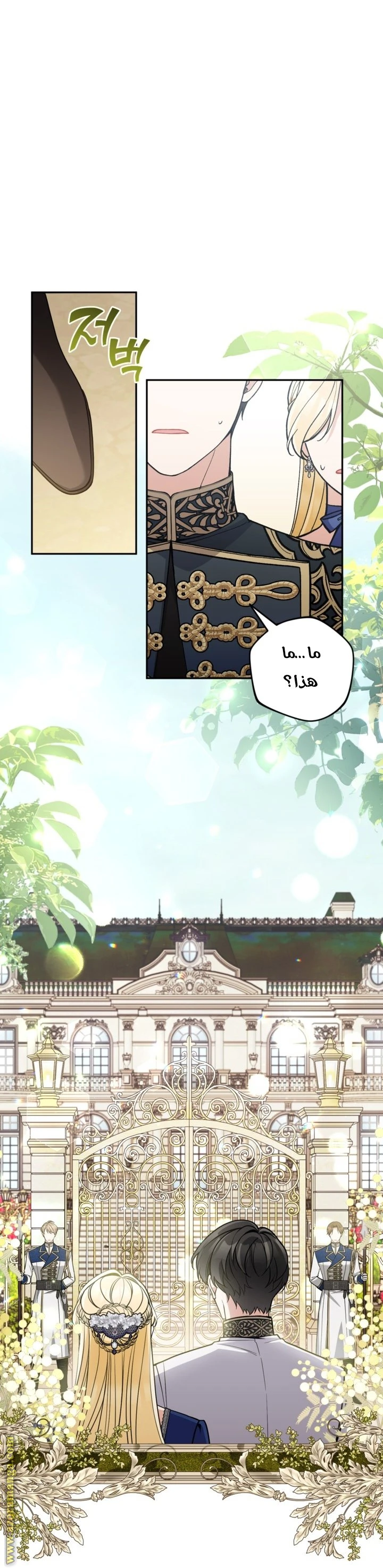 الصفحة 17