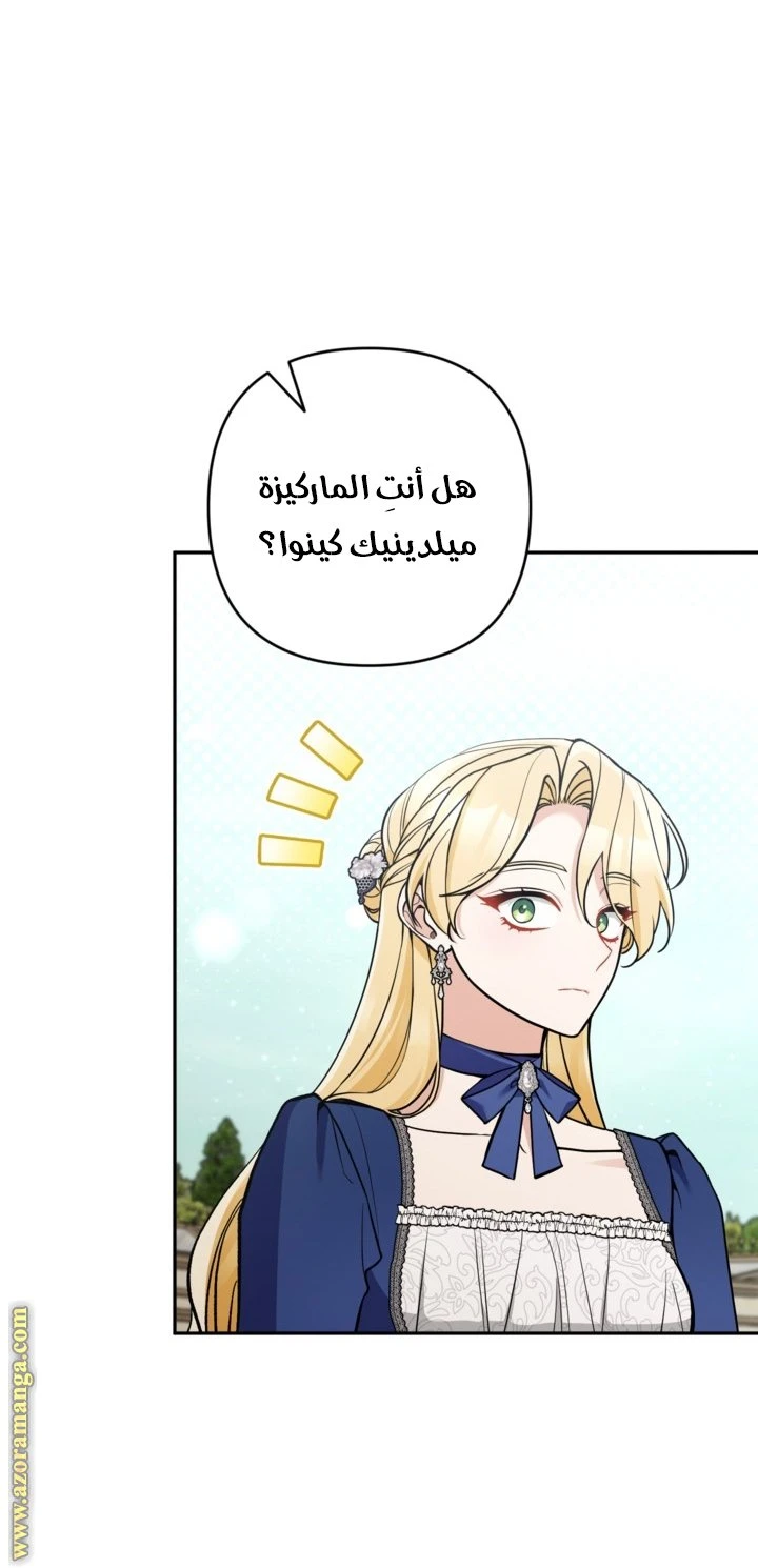 الصفحة 24