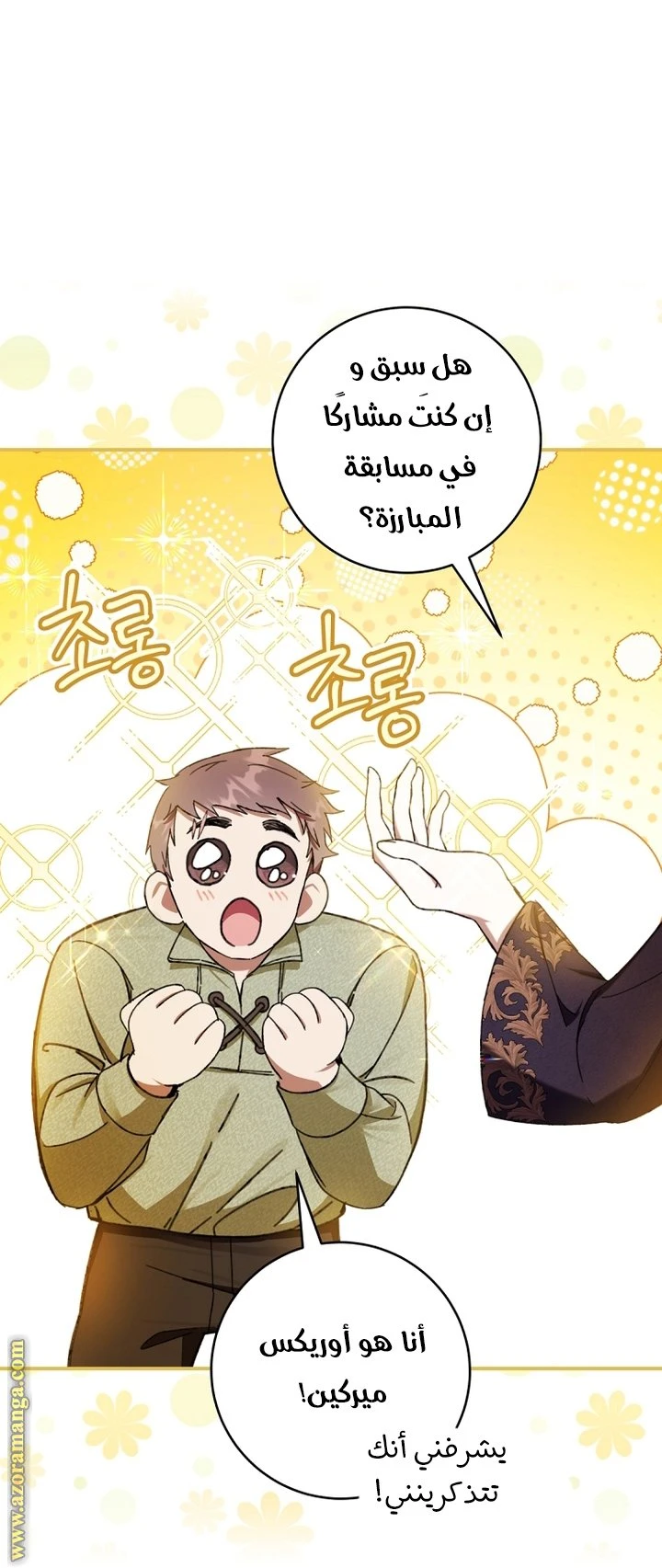 الصفحة 27