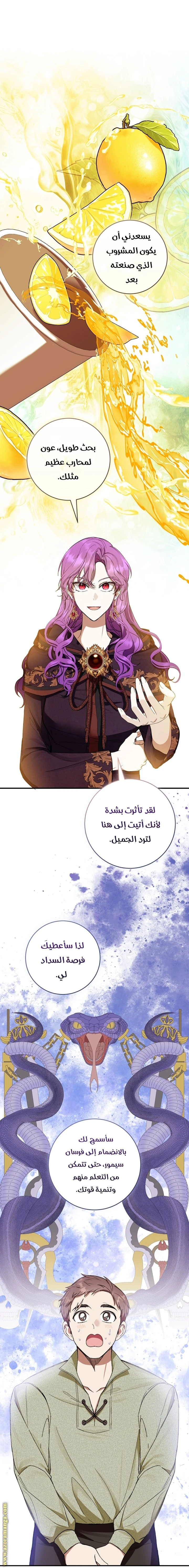 الصفحة 43