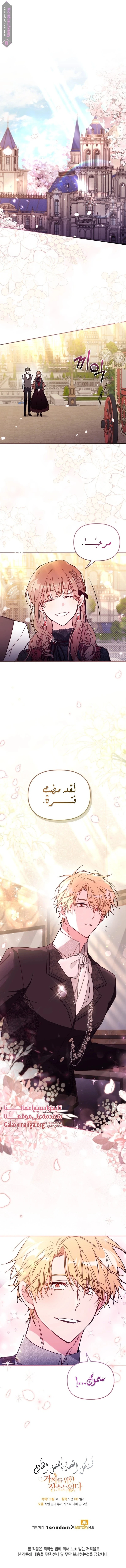 الصفحة 13