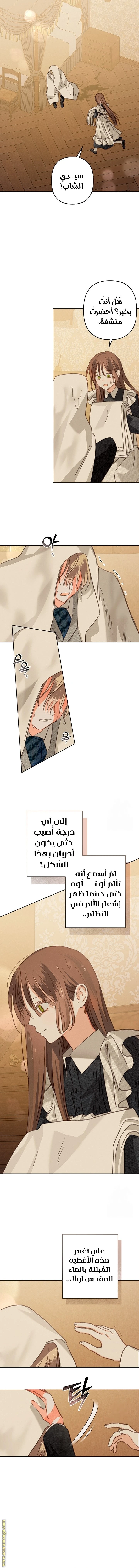الصفحة 8