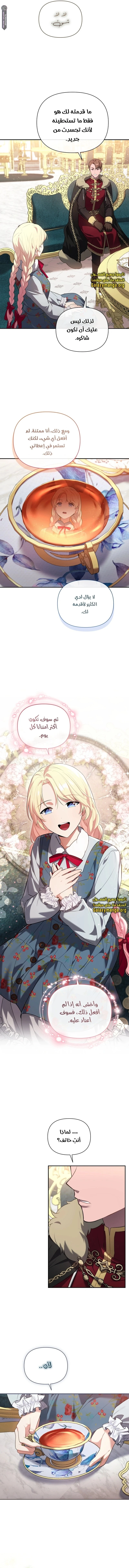 الصفحة 8