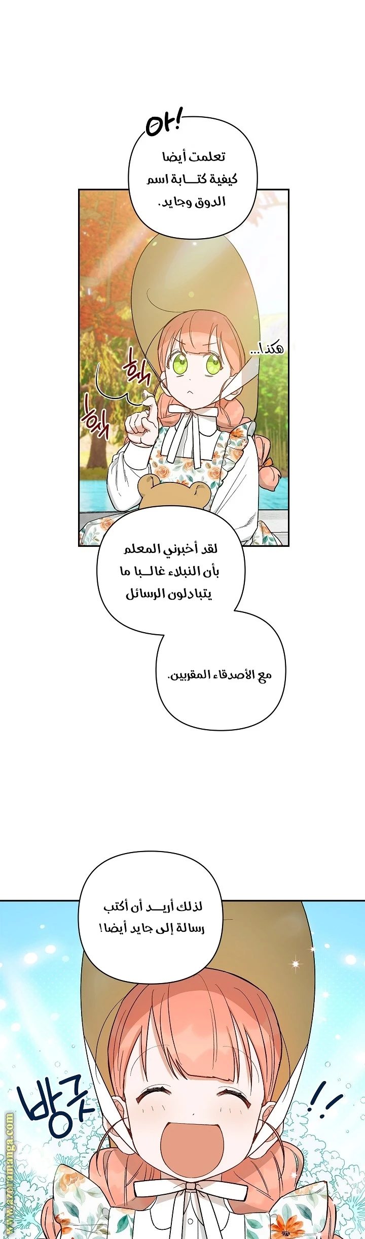 الصفحة 13