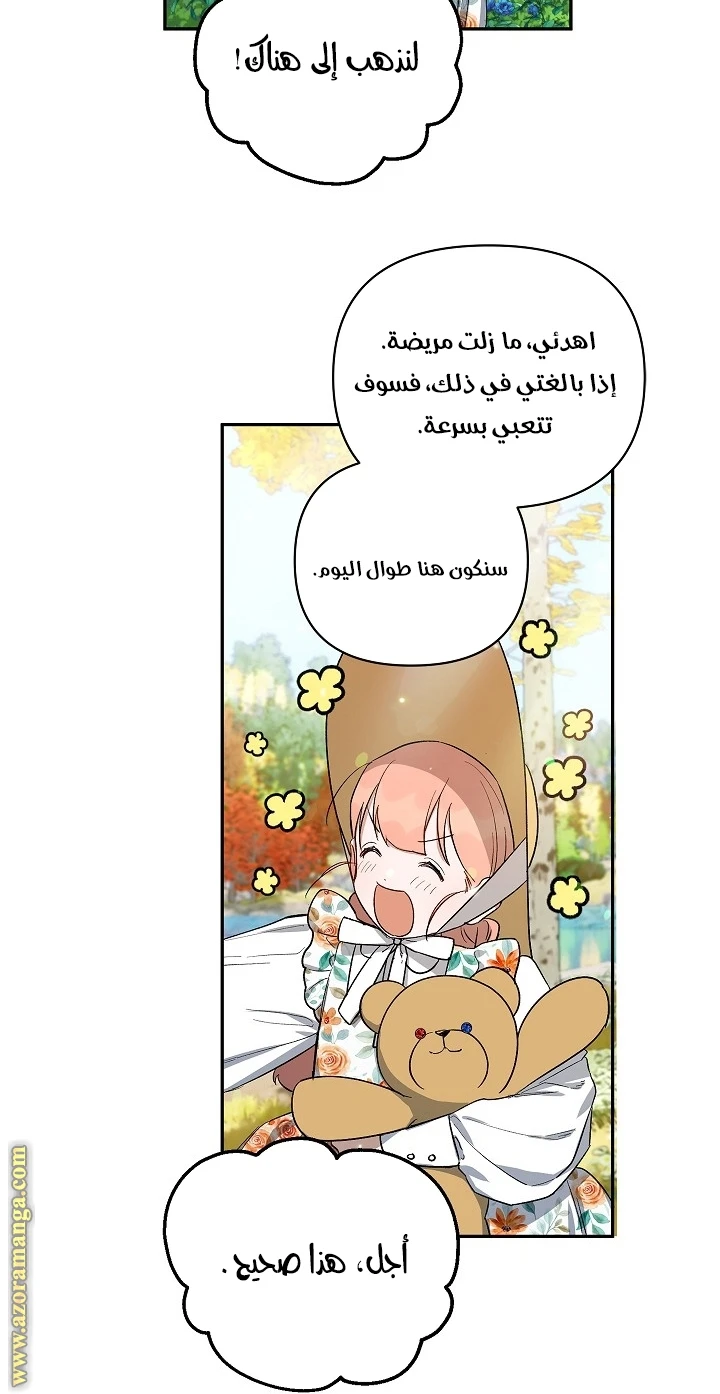 الصفحة 29
