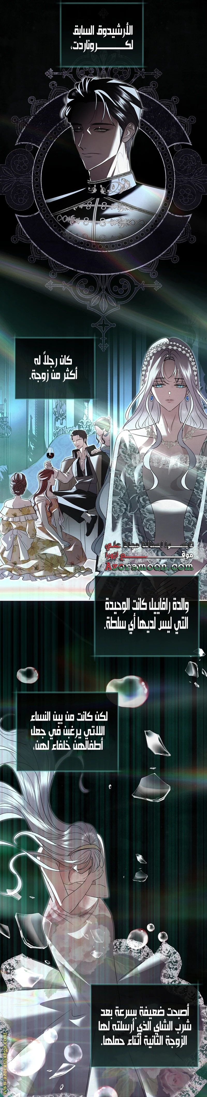 الصفحة 14